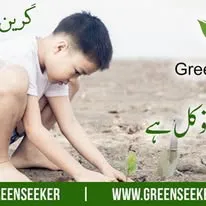 Green Seekers Activity